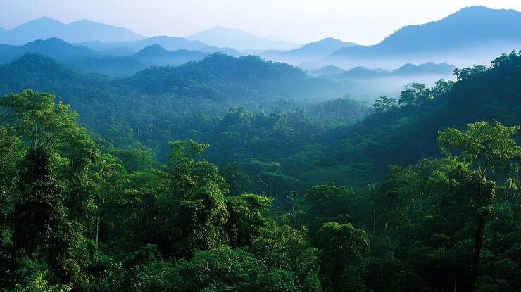un bosque con montañas en el fondo y una cordillera en el fondo