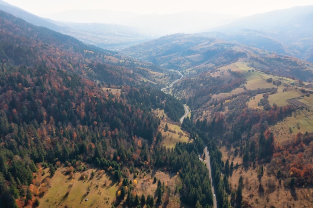 Bosque multicolor de otoño con árboles de coníferas verdes y un camino estrecho que se extiende en las altas montañas bajo la vista panorámica del cielo azul nublado