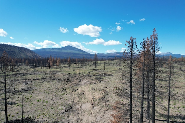 Bosque Nacional Lassen California