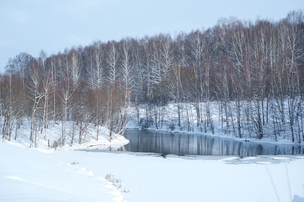 bosque nevado y lago congelado