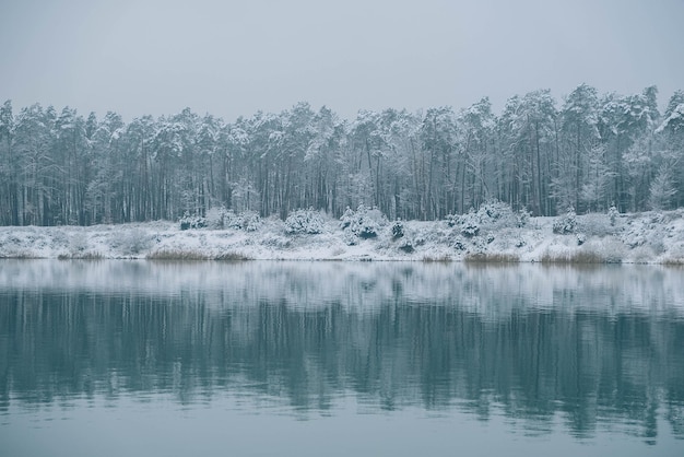 Bosque nevado y orilla cerca del lago Luz neblina helada sobre el agua del frío