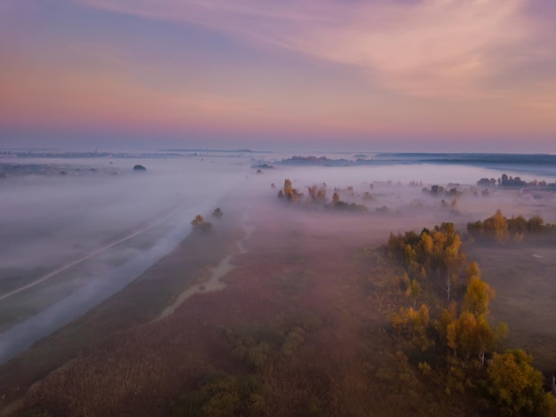 Bosque en la niebla al amanecer Vista desde drone