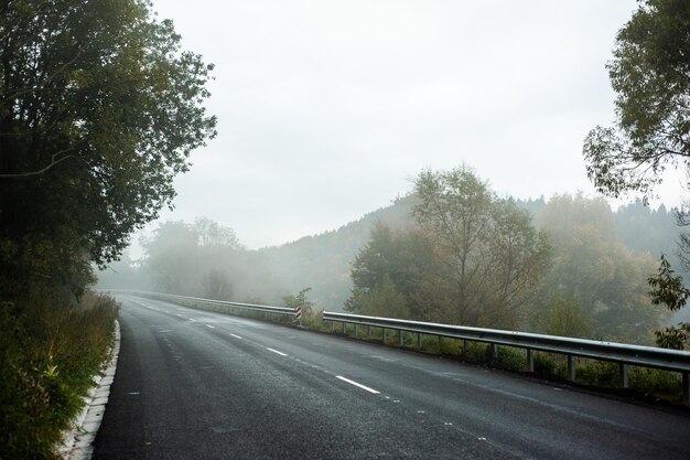 Bosque de niebla en las montañas