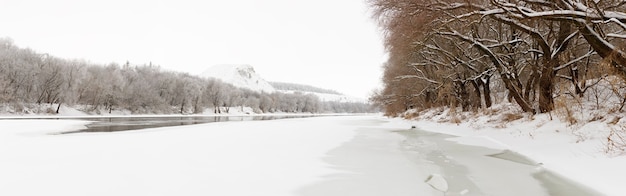 Bosque a orillas del río Don con hielo