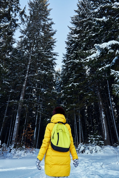 Bosque oscuro mujer, caminar en el bosque antes de Navidad