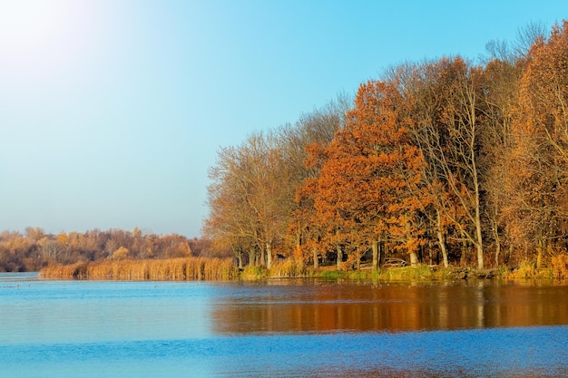 Bosque otoñal cerca del río cuando hace sol Los coloridos árboles otoñales se reflejan en el agua de un lago o río