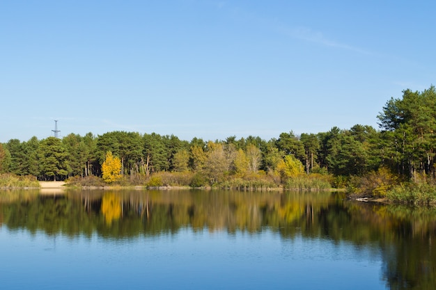 Bosque de otoño cerca del lago