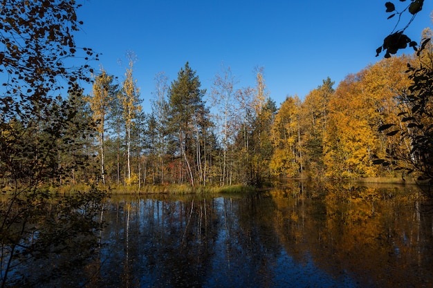 Bosque de otoño colorido que se refleja en un lago