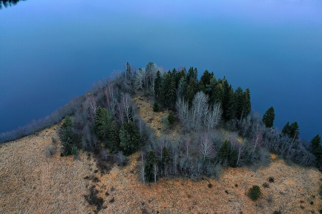 bosque de otoño sin hojas vista superior con drone, paisaje de fondo de naturaleza