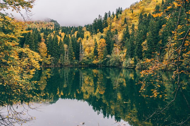 Bosque de otoño junto al lago