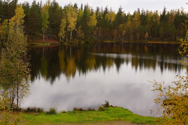 Bosque de otoño en la orilla de un lago del bosque.