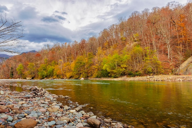 Bosque de otoño en la orilla del río