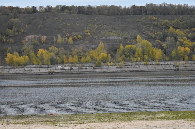 Bosque de otoño en la orilla del río