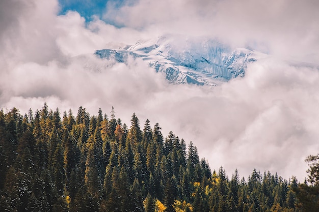 Bosque de otoño y pico nevado en las nubes