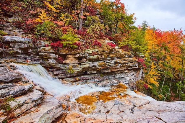 Bosque de otoño pico y río con cascadas y capas de rocas