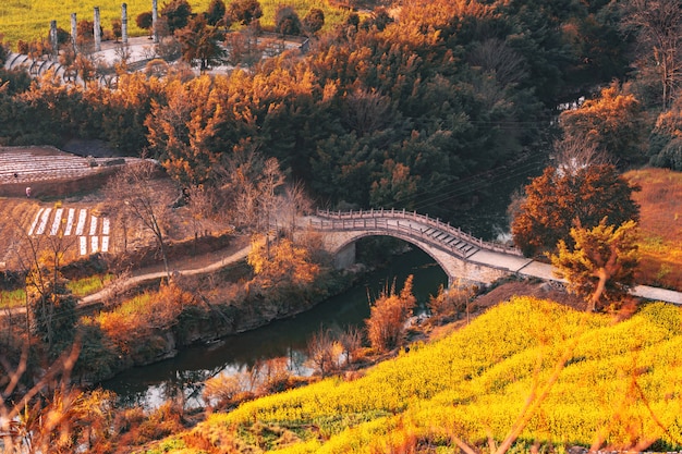 Bosque de otoño con puente viejo