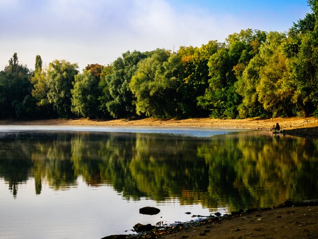 Bosque de otoño se refleja en el lago