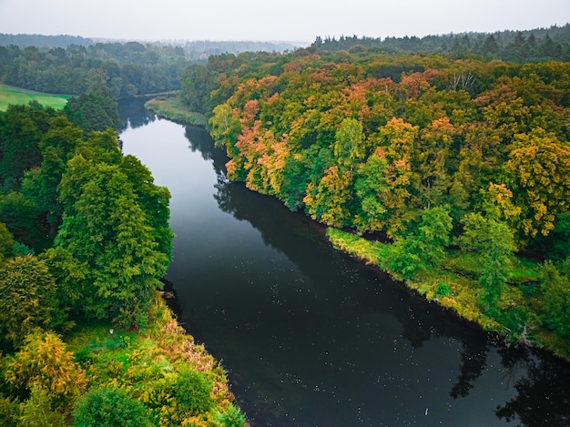 Bosque de otoño y río oscuro Vista aérea de la vida silvestre