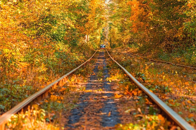 Bosque de otoño a través del cual un viejo tranvía recorre Ucrania