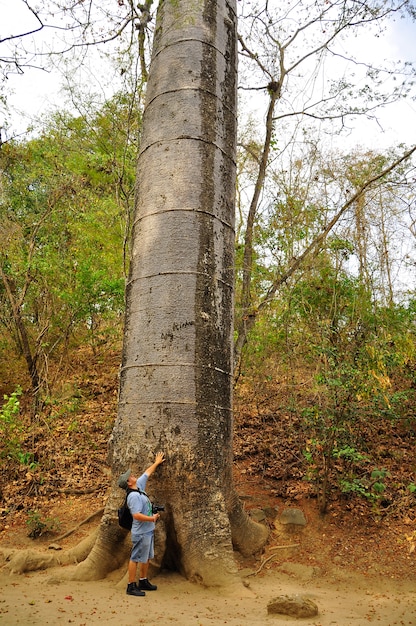 Bosque Petrificado Puyango