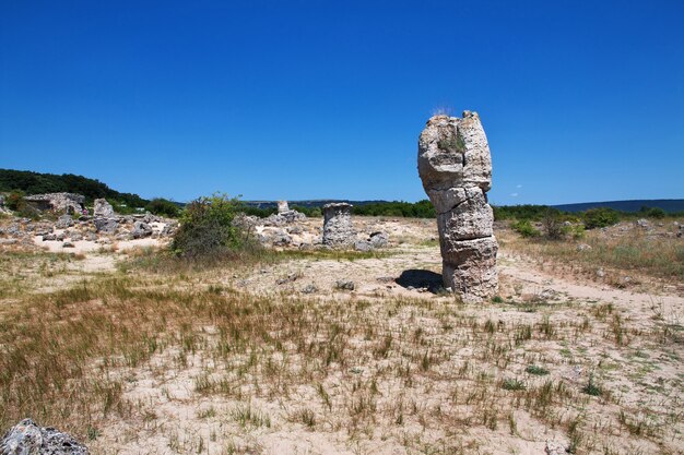 Bosque de piedras, Pobiti Kamani en Varan, Bulgaria