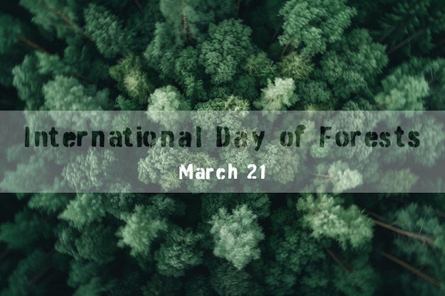 Bosque de pinos desde el aire Día Internacional de los Bosques 21 de marzo