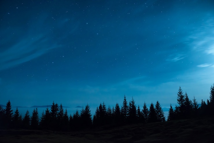 Foto bosque de pinos bajo la luna y el cielo azul oscuro con muchas estrellas