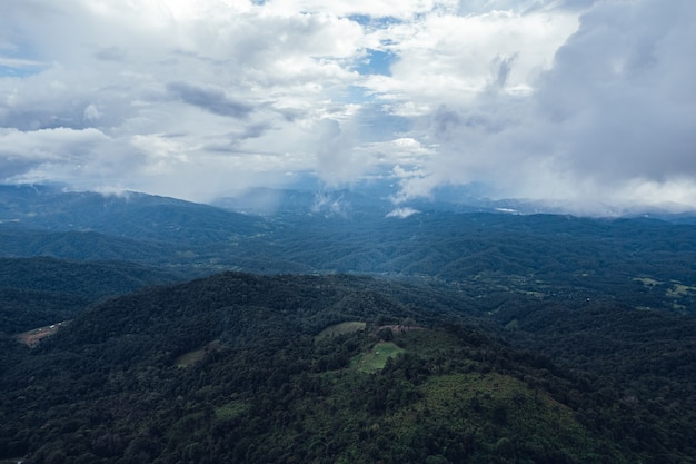 Bosque de pinos en las montañas en la forma de la mañana por encima de drone