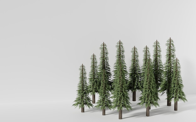Bosque de pinos en superficie blanca