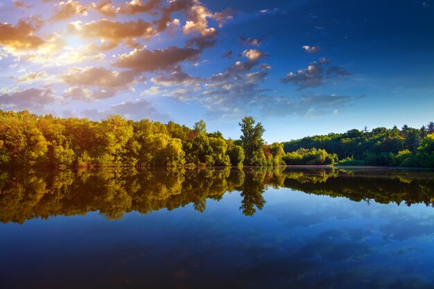 Bosque pintoresco y el río.