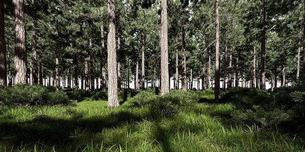 Foto bosque con prado representación en 3d del fondo ajardinado