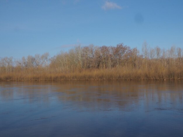 bosque de primavera al otro lado del río