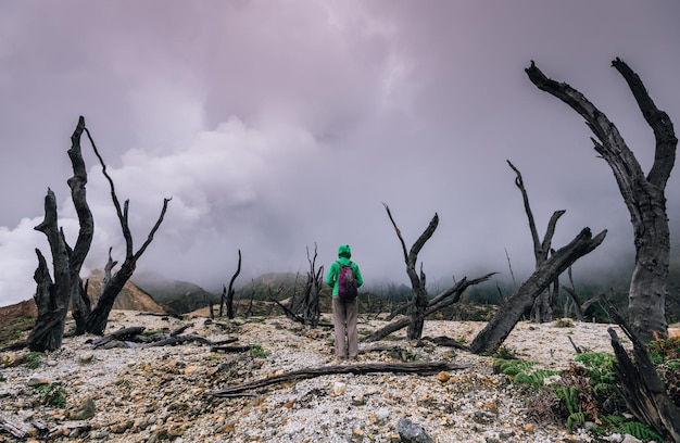 Bosque quemado y humo