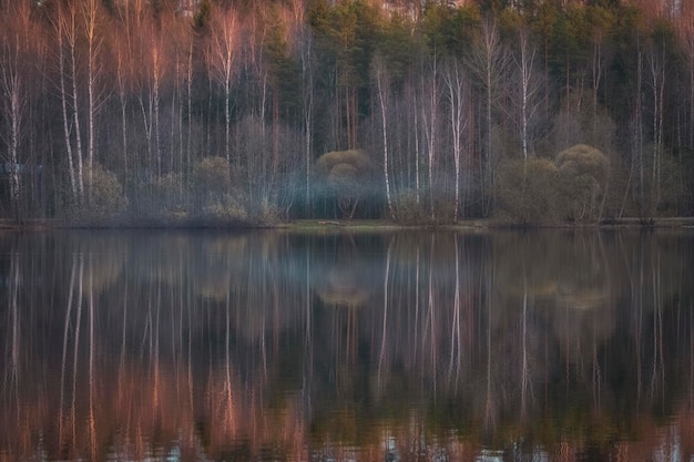 El bosque se refleja en el agua del espejo del lago a finales de otoño
