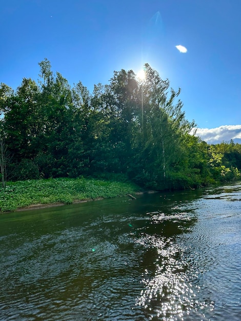 Bosque y río en verano en el centro de Rusia