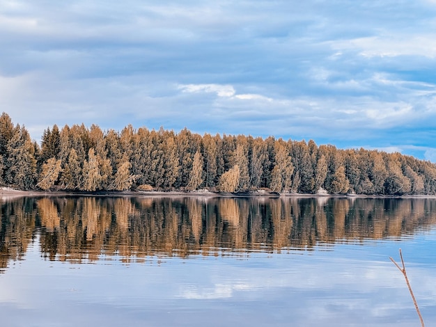 bosque y río