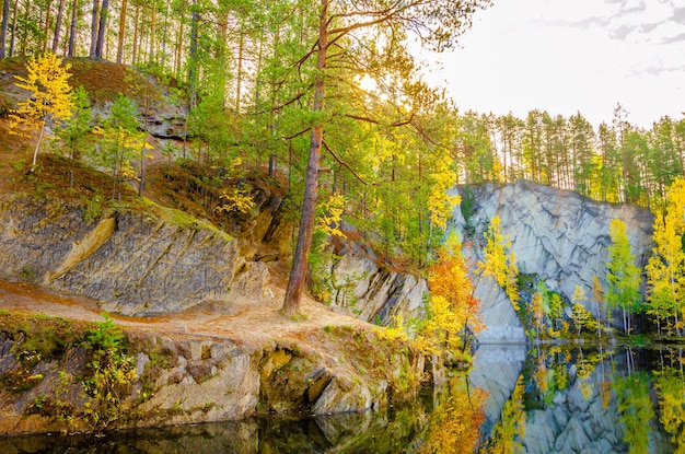 Bosque en las rocas a la orilla del lago.