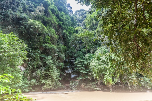 Bosque con senderos y río