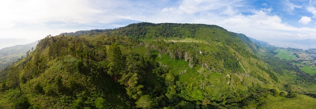 Bosque tropical