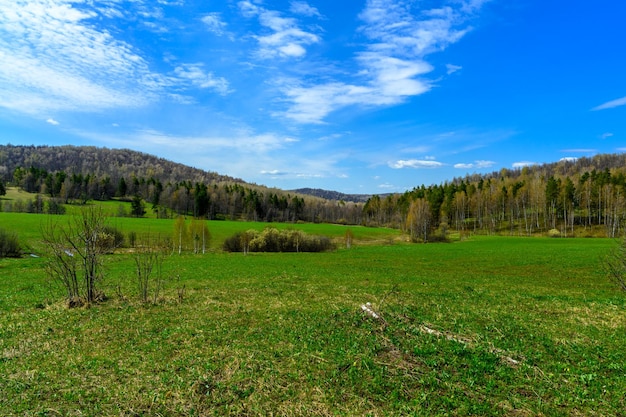 Bosque ural sur con una vegetación paisajística única y diversidad de naturaleza en primavera