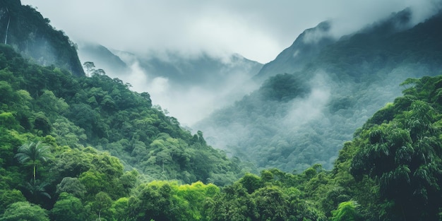 El bosque verde abunda en árboles