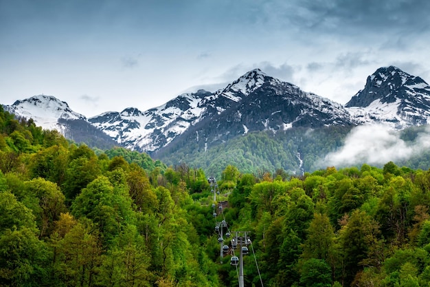 Bosque verde y altas montañas nevadas