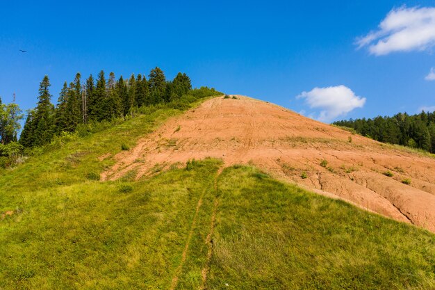 Bosque verde en una colina contra el cielo cielo azul