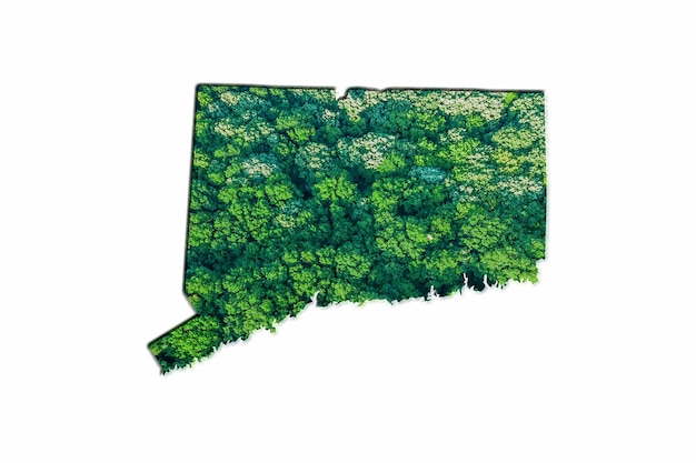 Bosque Verde Mapa de Connecticut, sobre fondo blanco.
