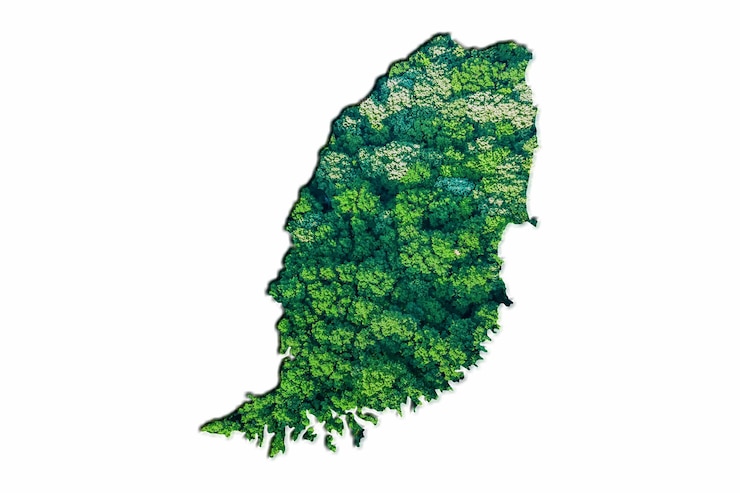Foto bosque verde mapa de granada, sobre fondo blanco.