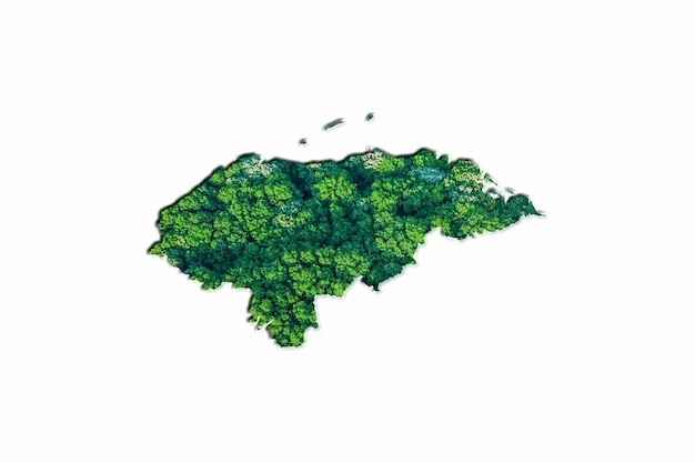 Foto bosque verde mapa de honduras, sobre fondo blanco.
