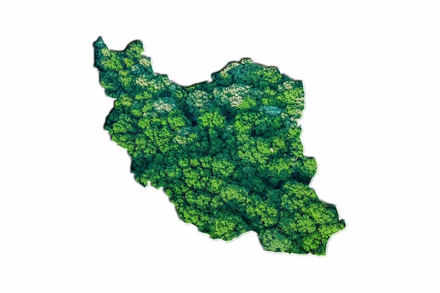 Bosque Verde Mapa de Irán, sobre fondo blanco.