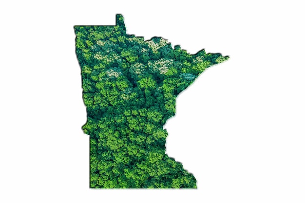 Bosque Verde Mapa de Minnesota, sobre fondo blanco.