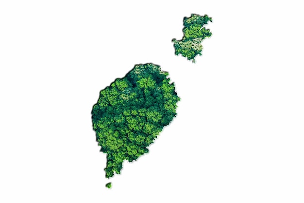 Bosque Verde Mapa de Santo Tomé y Príncipe, sobre fondo blanco.