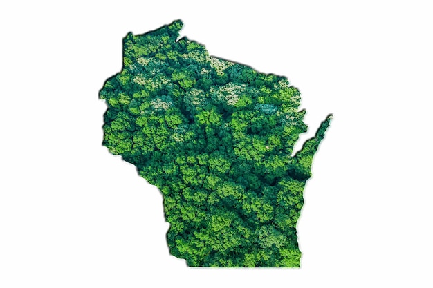 Bosque Verde Mapa de Wisconsin, sobre fondo blanco.